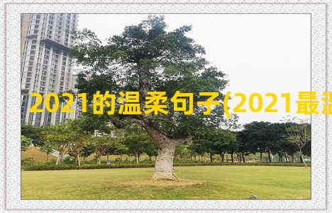 2021的温柔句子(2021最温柔的网名)