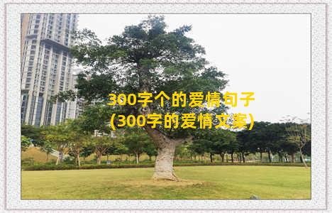 300字个的爱情句子(300字的爱情文案)