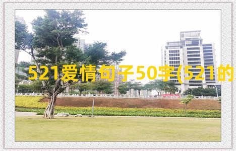 521爱情句子50字(521的爱情句子)