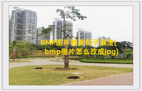 BMP图片唯美句子浪漫(bmp图片怎么改成jpg)