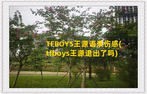 TFBOYS王源语录伤感(tfboys王源退出了吗)