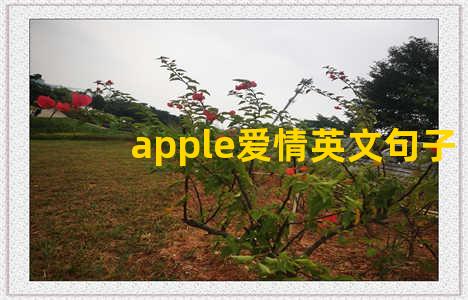 apple爱情英文句子