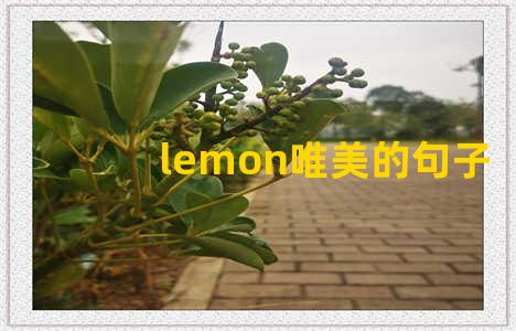 lemon唯美的句子