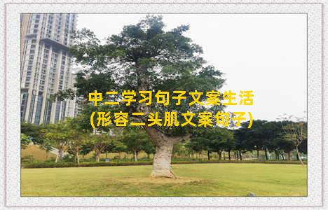 中二学习句子文案生活(形容二头肌文案句子)