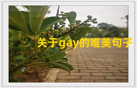 关于gay的唯美句子