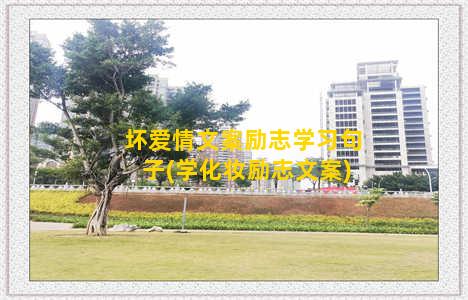 坏爱情文案励志学习句子(学化妆励志文案)