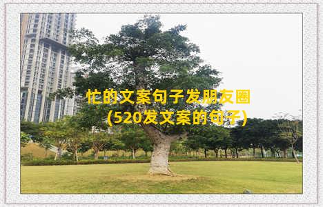 忙的文案句子发朋友圈(520发文案的句子)