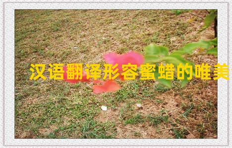 汉语翻译形容蜜蜡的唯美语录
