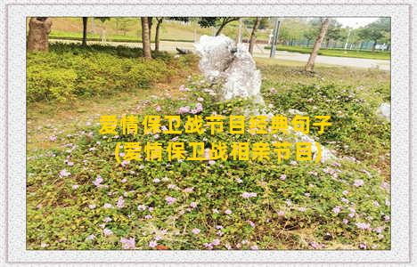 爱情保卫战节目经典句子(爱情保卫战相亲节目)