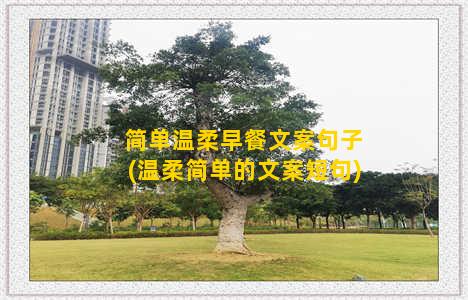 简单温柔早餐文案句子(温柔简单的文案短句)