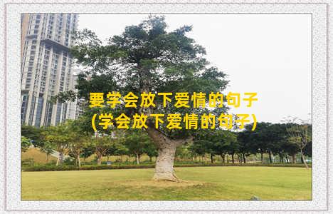 要学会放下爱情的句子(学会放下爱情的句子)